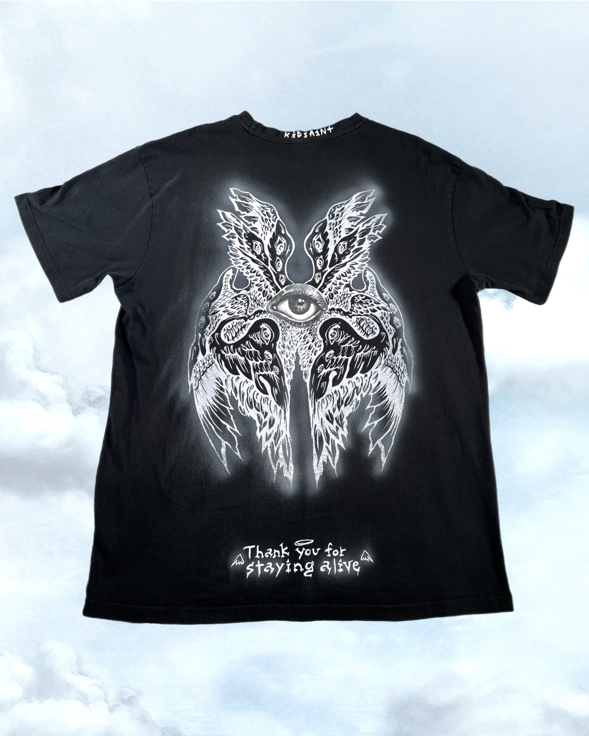 I release self criticism with compassion (XL)
